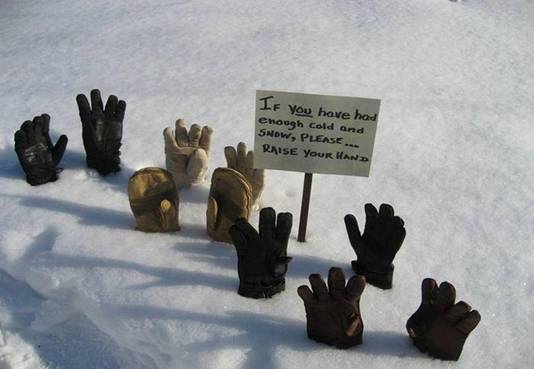 Canadian Snow Humour!‏_011