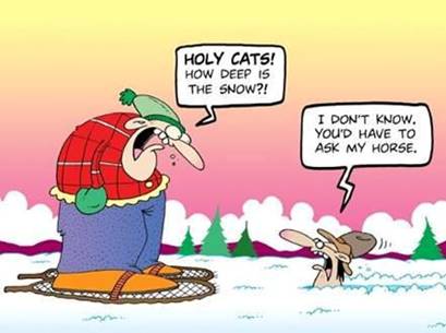 Canadian Snow Humour!‏_034
